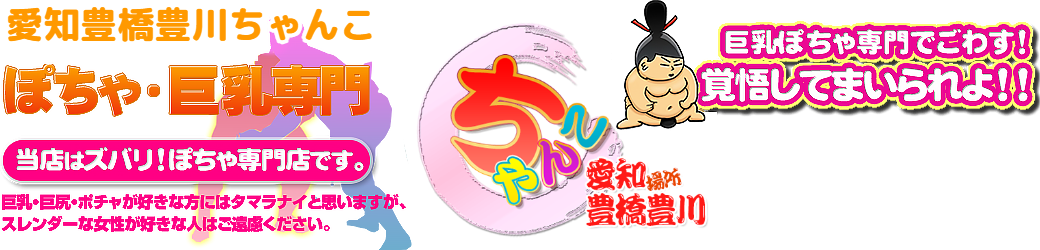 愛知豊橋豊川ちゃんこ ロゴ