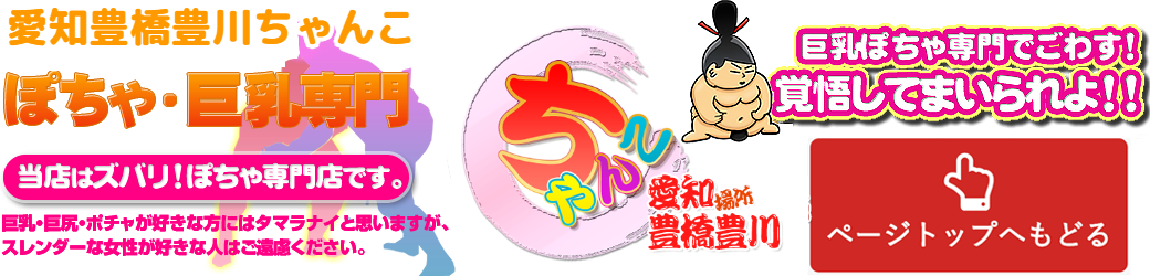 愛知豊橋豊川ちゃんこ ロゴ