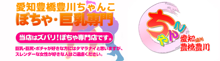 愛知豊橋豊川ちゃんこ ロゴ